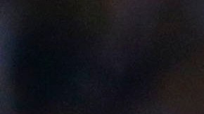 Pizarro no fue convocado por Juan Carlos Osorio a Rusia 2018.