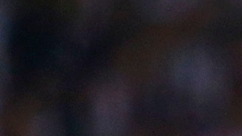 Pizarro no fue convocado por Juan Carlos Osorio a Rusia 2018.