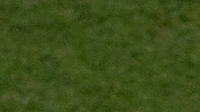 'Chucky' Lozano le dio la victoria a México.