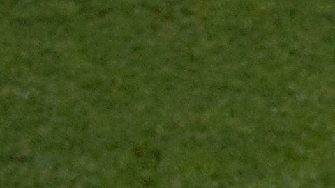 'Chucky' Lozano le dio la victoria a México.