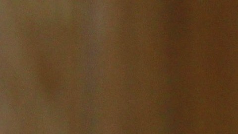 José Ramón es el principal crítico del América.