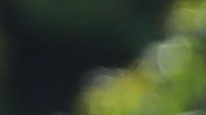 Miguel González "Míchel"