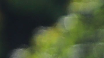 Miguel González "Míchel"