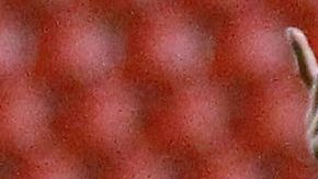 Norma busca entretenerse en la cuarentena.