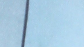 Jennifer Aniston disfruta a su amigo canino.