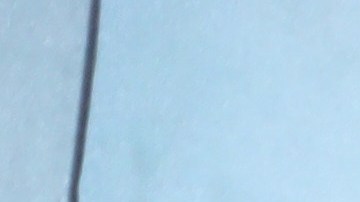 Jennifer Aniston disfruta a su amigo canino.