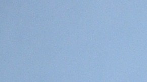 Jennifer Aniston disfruta el confinamiento con sus dos perros