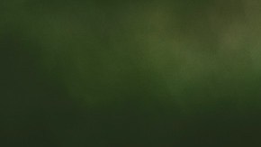 Puedes trabajar en tu jardín durante la cuarentena al lado de toda tu familia.