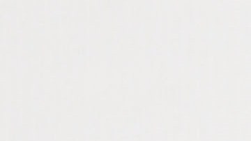 Kirstie Alley tiene 14 lémures como mascotas.