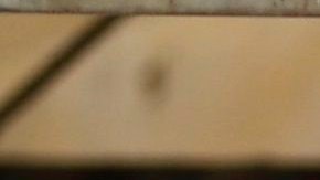 Un hombre espera afuera de una residencia  en Guayaquil.