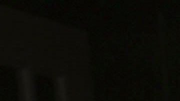 Maribel Guardia tiene 8 perros que cuida como si fueran sus hijos.