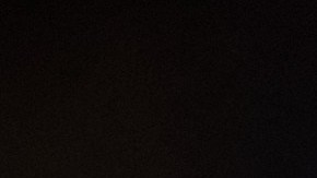 Lionel Messi educó muy bien a su mascota, quien convive con su pequeño hijo.