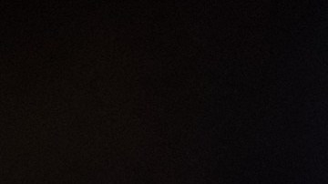 Lionel Messi educó muy bien a su mascota, quien convive con su pequeño hijo.