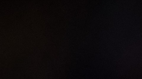 Lionel Messi educó muy bien a su mascota, quien convive con su pequeño hijo.