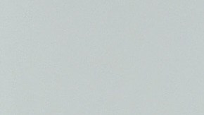 Miley Cyrus ama a los caninos.