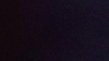 Una mujer sacó a pasear a su tortuga en Italia.