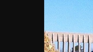 Muerto por coronavirus