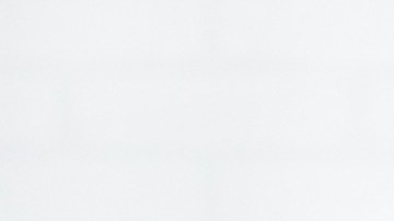 Desinfecta de la mejor manera tu casa, pero cuidando a tus mascotas.