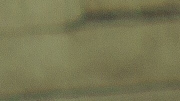 La agresividad en los perros debe evitarse con la educación desde que son cachorros.