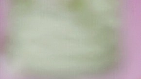 Se da a conocer en Estados Unidos el primer caso de un perro en dar positivo por SARS-CoV-2 que es causante del coronavirus en personas.