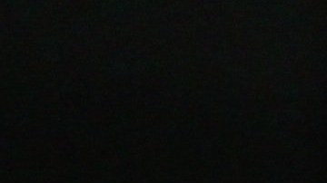 Los perros serían capaces de detectar el coronavirus por el olfato.