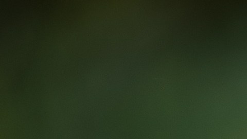 Un perro quedó impactado al enterarse que será papá.