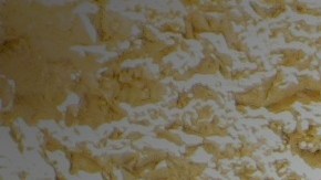 Los perros son una excelente compañía para los ancianos por múltiples razones.