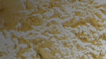 Los perros son una excelente compañía para los ancianos por múltiples razones.