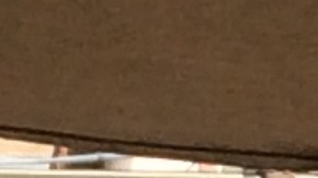 Emmanuel Deleage, izq., da de comer a los desamparados del refugio Proyecto Guadalupe. (Suministrada)