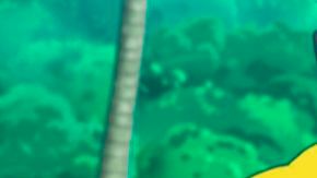 Pokémon es una de las sagas de anime más queridas en el mundo.