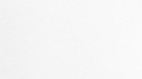 Los perros chihuahua son recomendados como mascotas en el hogar. (Pixabay)