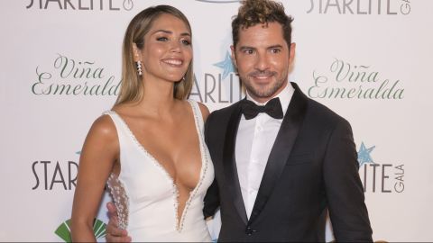 Rosanna Zanetti y David Bisbal.