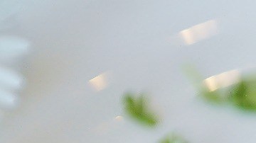 Rábanos-RitaE en Pixabay