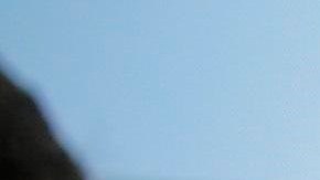 El vandalismo ha crecido en medio de la crisis.