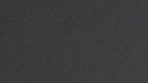 Thalía ama a sus dos perros.