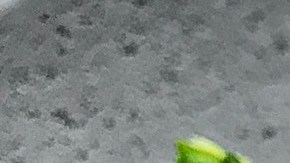 Foto: Daria Shevtsova /Pexels