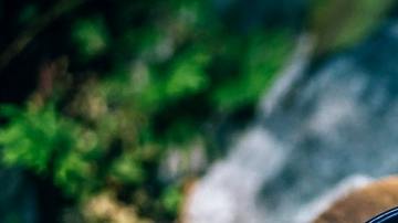 Té matcha-NipananLifestyle.com en Pexels