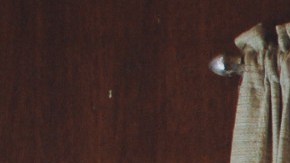 Cambia tu vista habitual por una más natural y extraordinaria con Airbnb.