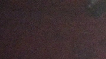 WrestleMania 36 fue un evento grabado y se llevó a cabo a puerta cerrada.