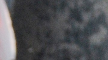 Por primera vez en su vida, esta vendedora de palmillas santas no saldrá este Domingo de Ramos a las iglesias de Arizona.