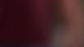 El animal que define a los Escorpión es el perro.