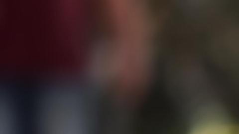 El animal que define a los Escorpión es el perro.