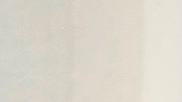 Buscan crear una especie de cuerpo de "vigilancia canina".