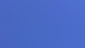 Andrea Camps era una joven estudiante de Miami.