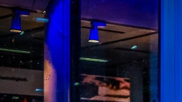 No necesitas tener una consola para disfrutar de los videojuegos, puedes hacerlo a través de un smartphone.