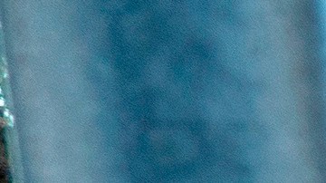 Florida comienza a reabrir.