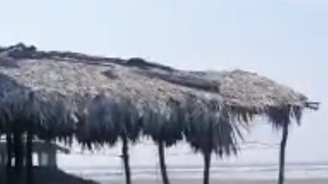 Se desconocen las causas de la muerte de la ballena.