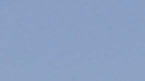 El crucero "MS Zandaam" fue autorizado al desembarco de la mayoría de personas a bordo.