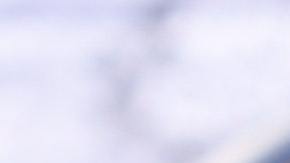 Tarta de frutos rojos.