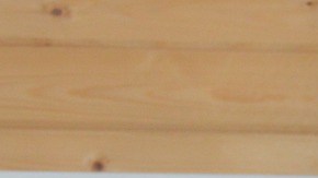 Los niños cuentan para el Censo.